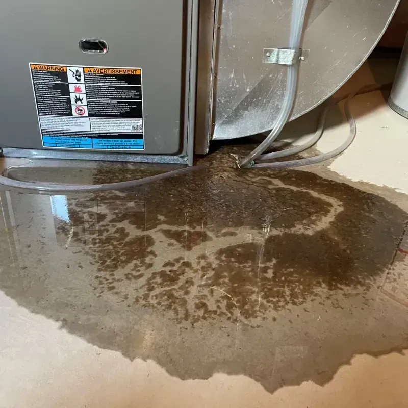 Appliance Leak Cleanup in Covington County, AL